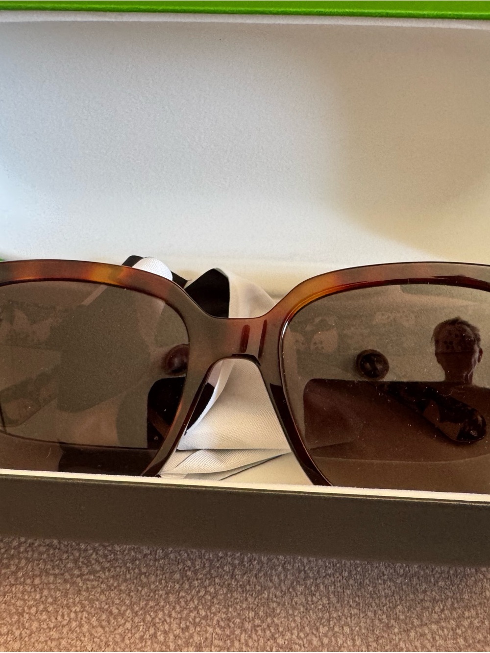 Kate spade Women's Oversized Brown Sunglasses